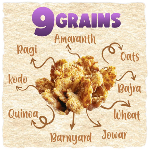 Go Grains Crunchies Blueberry 300g